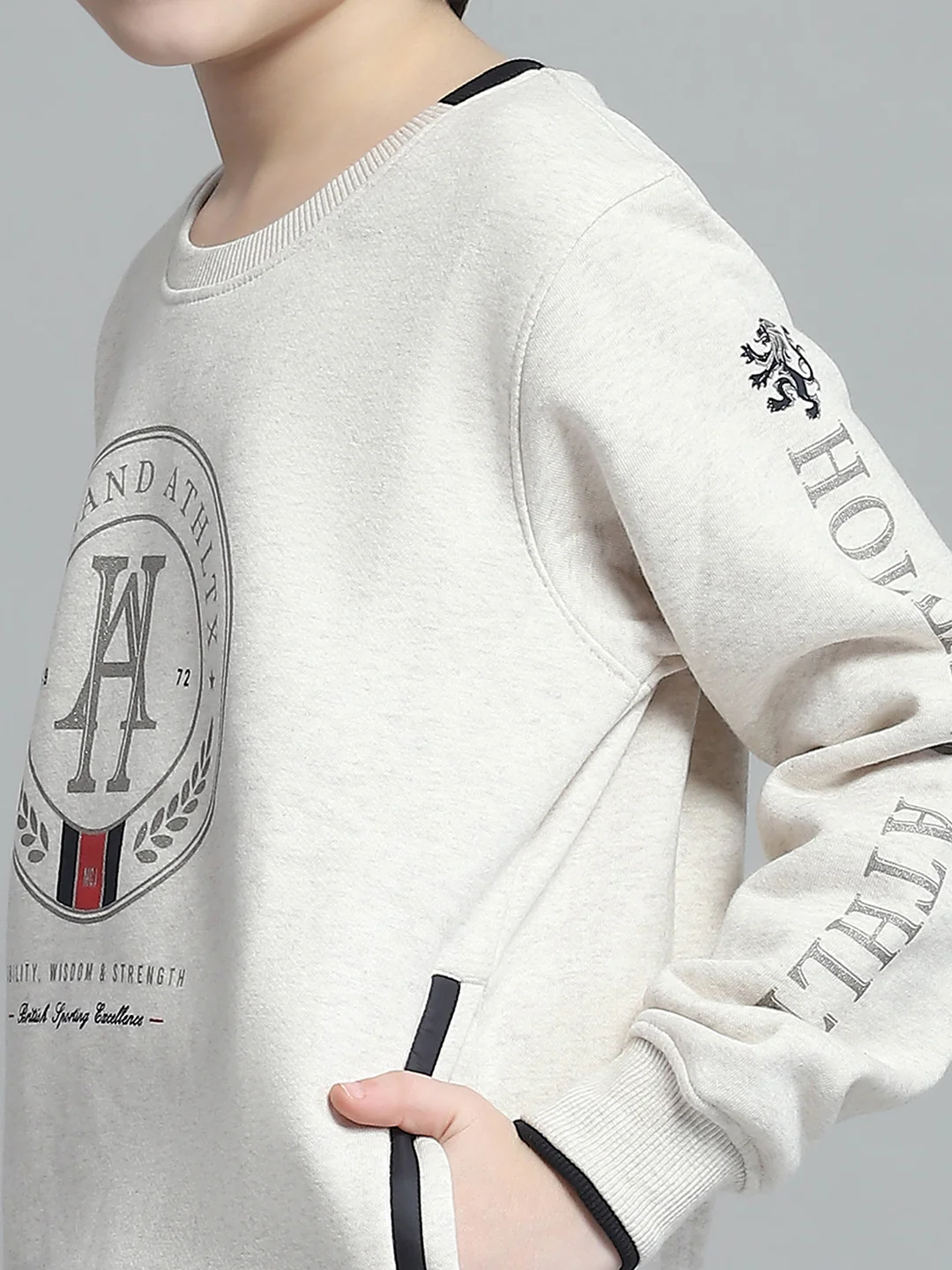 Boys Beige Printed Round Neck Full Sleeve Sweatshirt - Image 7