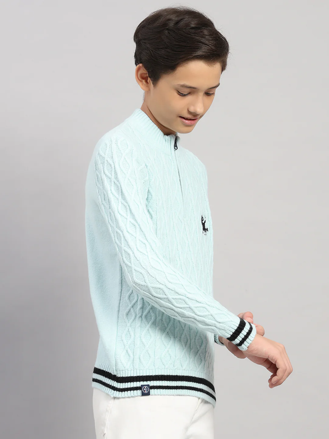 Boys Blue Stripe Collar Full Sleeve Pullover - Image 4
