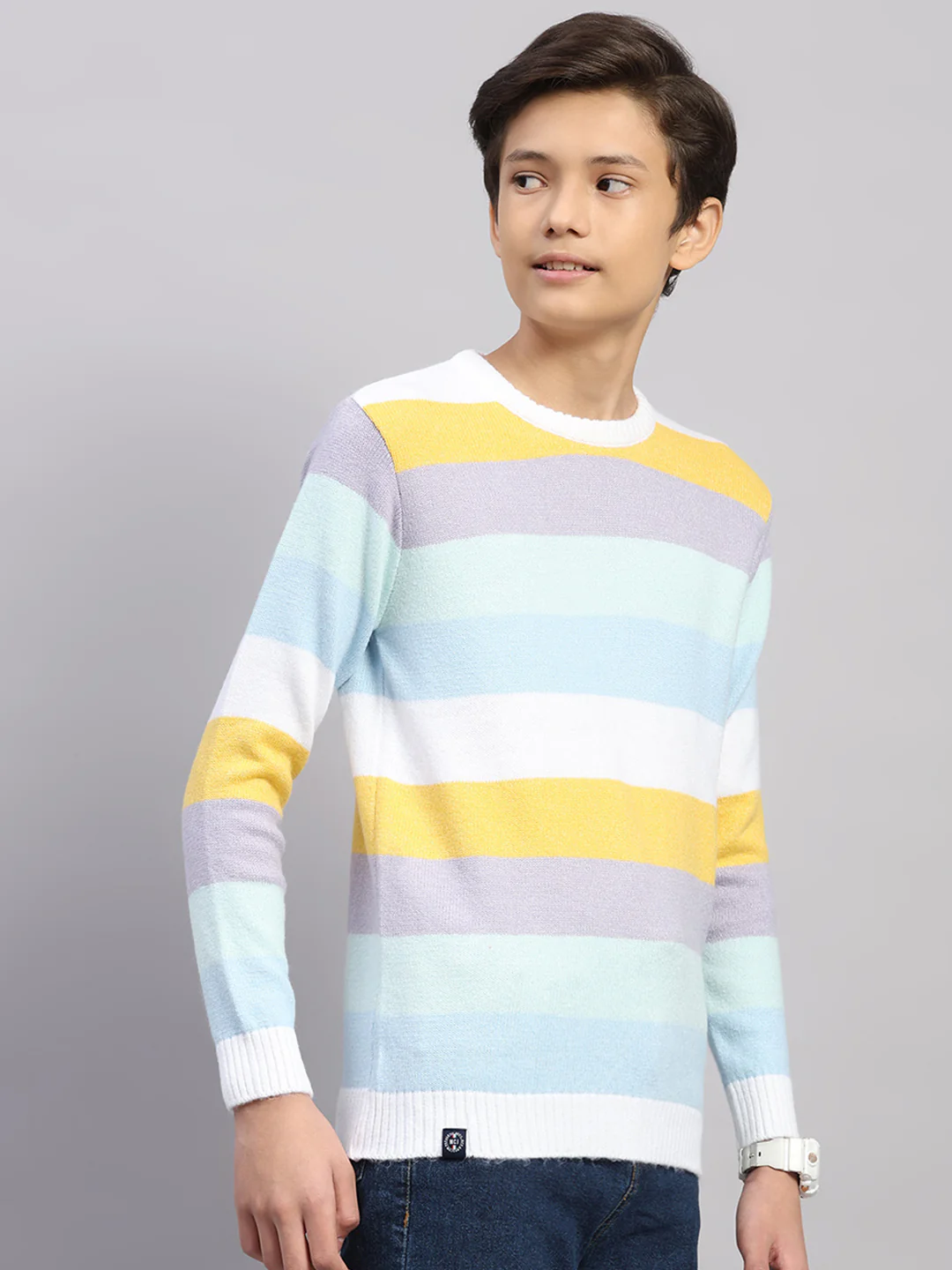 Boys Blue Stripe Round Neck Full Sleeve Pullover - Image 4