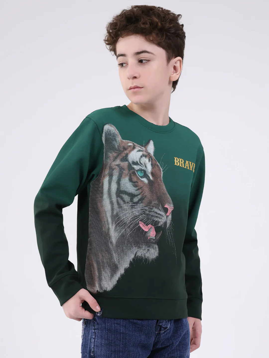 Boys Green Printed Round Neck Full Sleeve Sweatshirt - Image 4