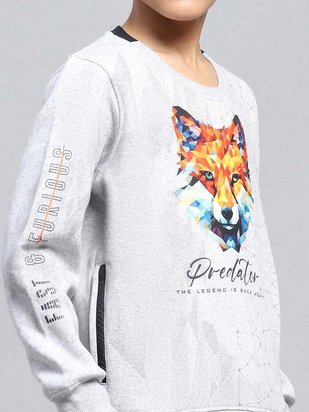 Boys Grey Printed Round Neck Full Sleeve Sweatshirt - Image 6