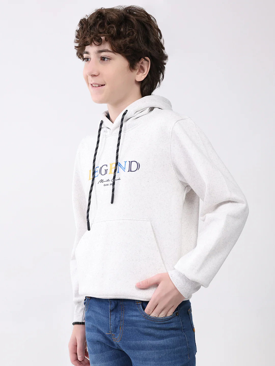 Boys Light Grey Printed Hooded Full Sleeve Sweatshirt - Image 3