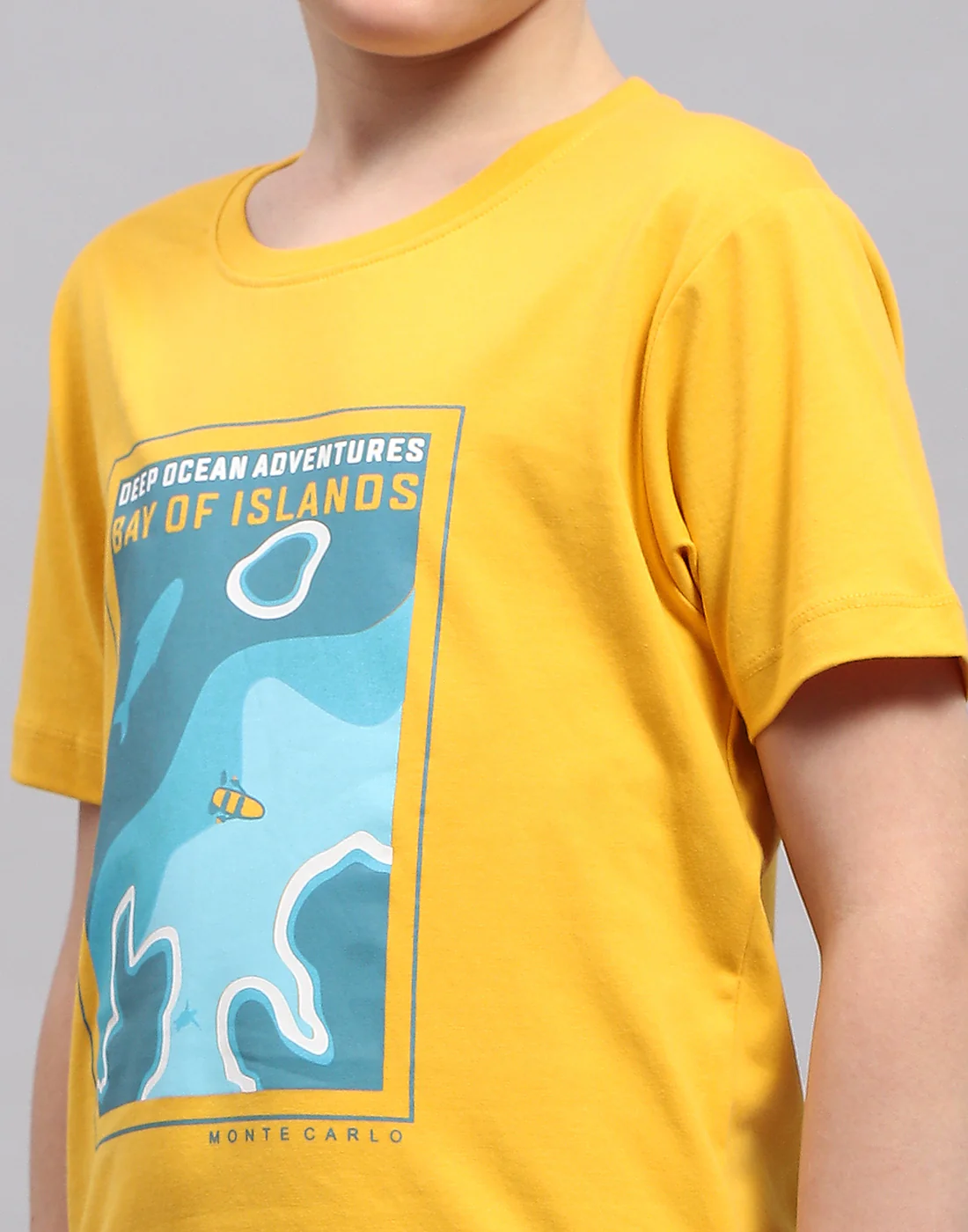 Boys Mustar & Aqua Blue Printed Round Neck Half Sleeve T-Shirt (Pack of 2) - Image 11