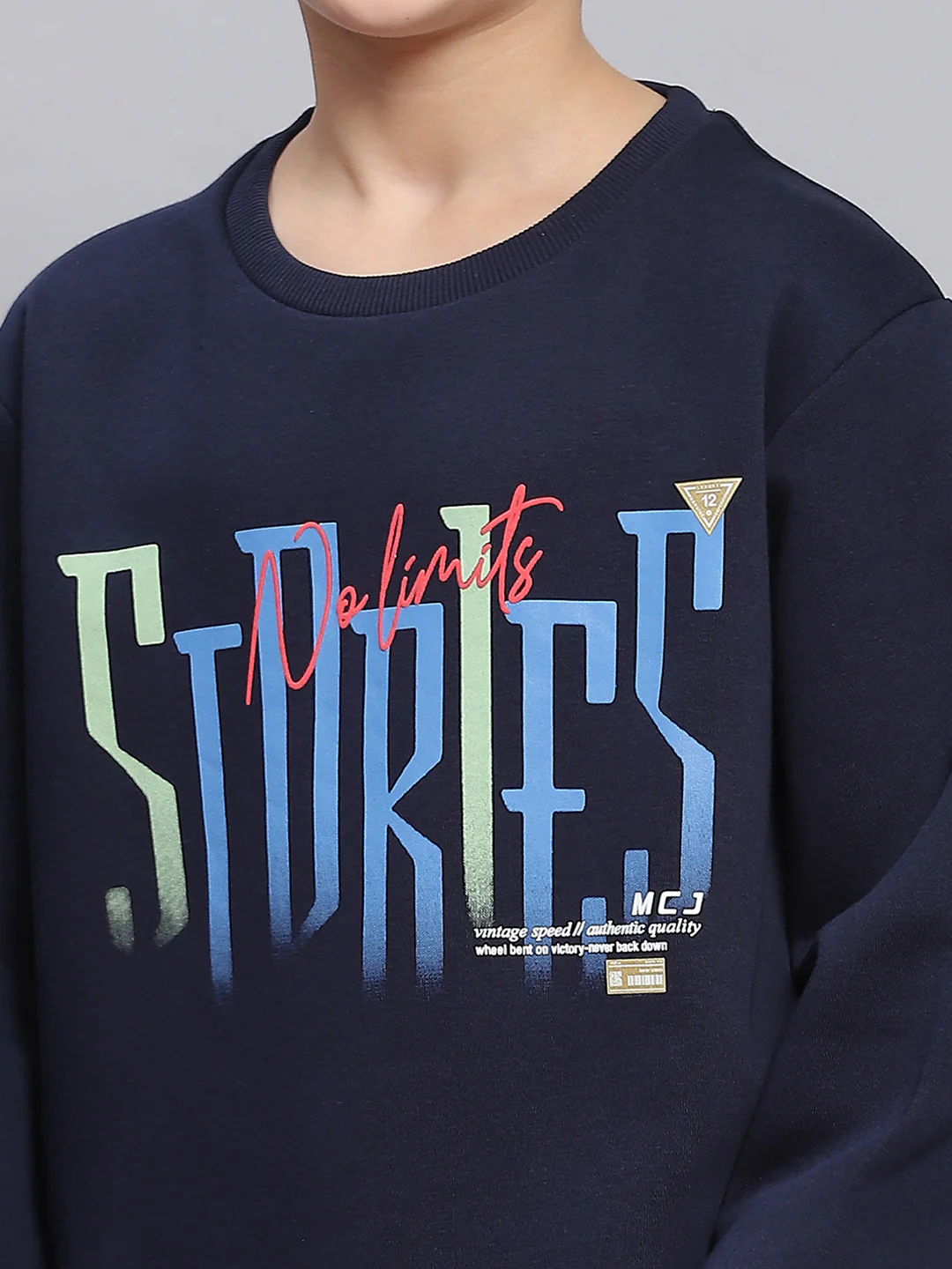 Boys Navy Blue Printed Round Neck Full Sleeve Sweatshirt - Image 6