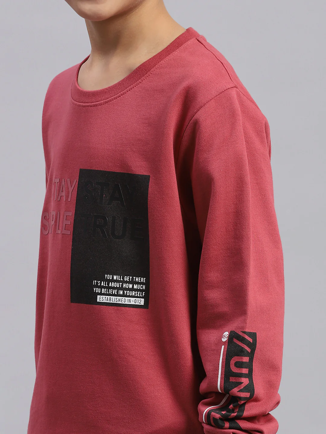 Boys Pink Printed Round Neck Full Sleeve Sweatshirt - Image 6