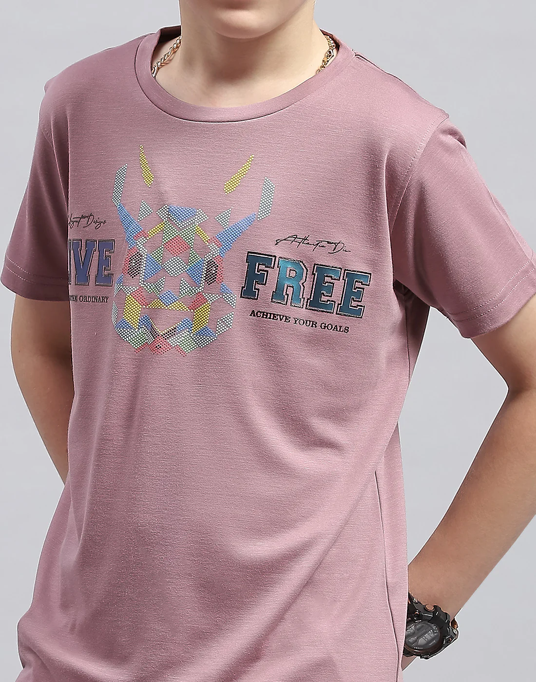 Boys Pink Printed Round Neck Half Sleeve T-Shirt - Image 6