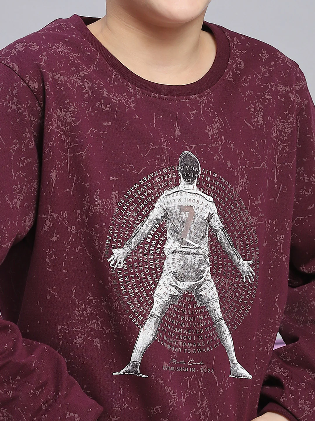 Boys Purple Printed Round Neck Full Sleeve Sweatshirt - Image 6