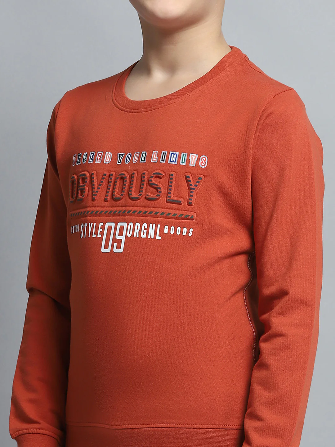 Boys Rust Printed Round Neck Full Sleeve Pullover - Image 7