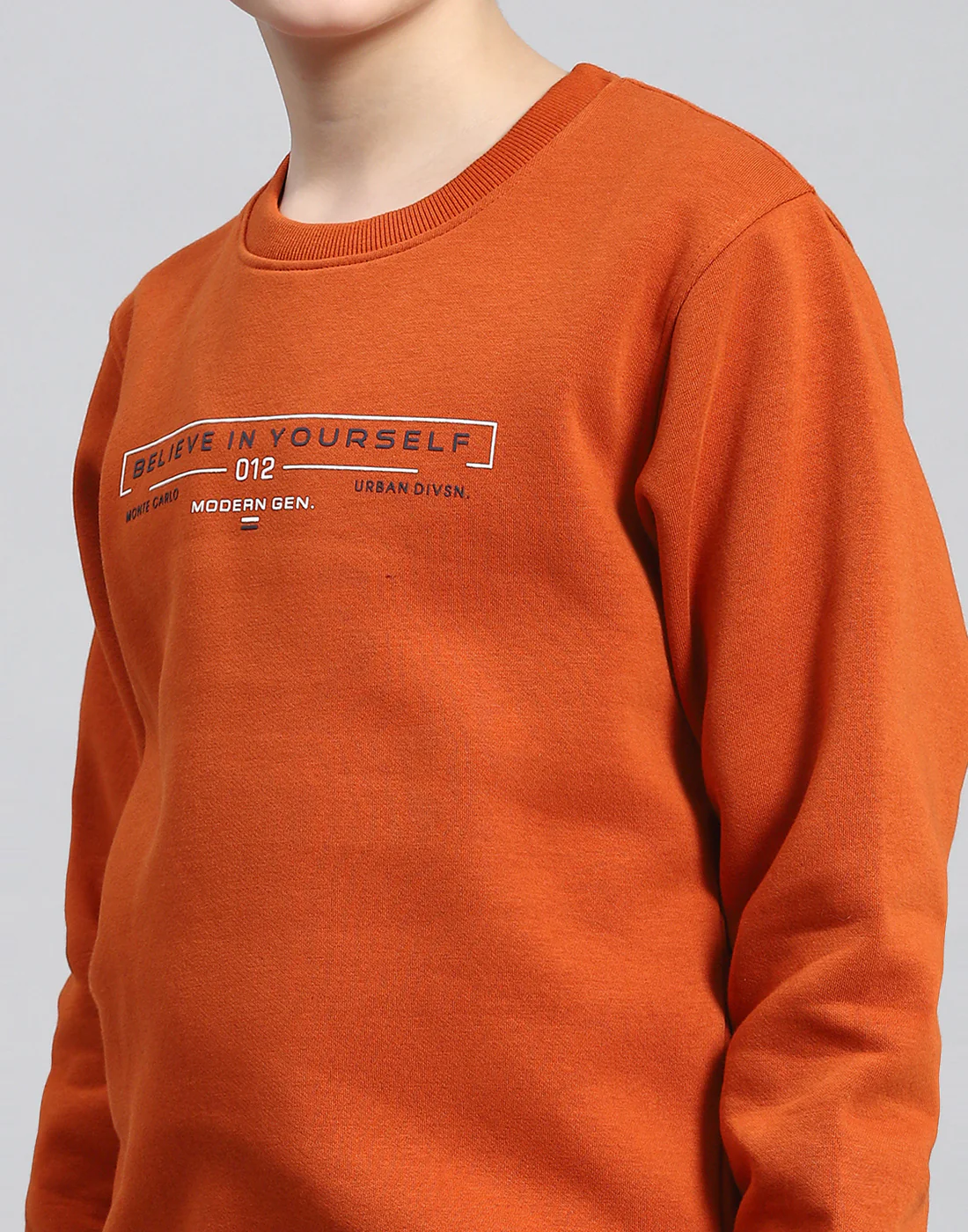 Boys Rust Printed Round Neck Full Sleeve Sweatshirt - Image 7