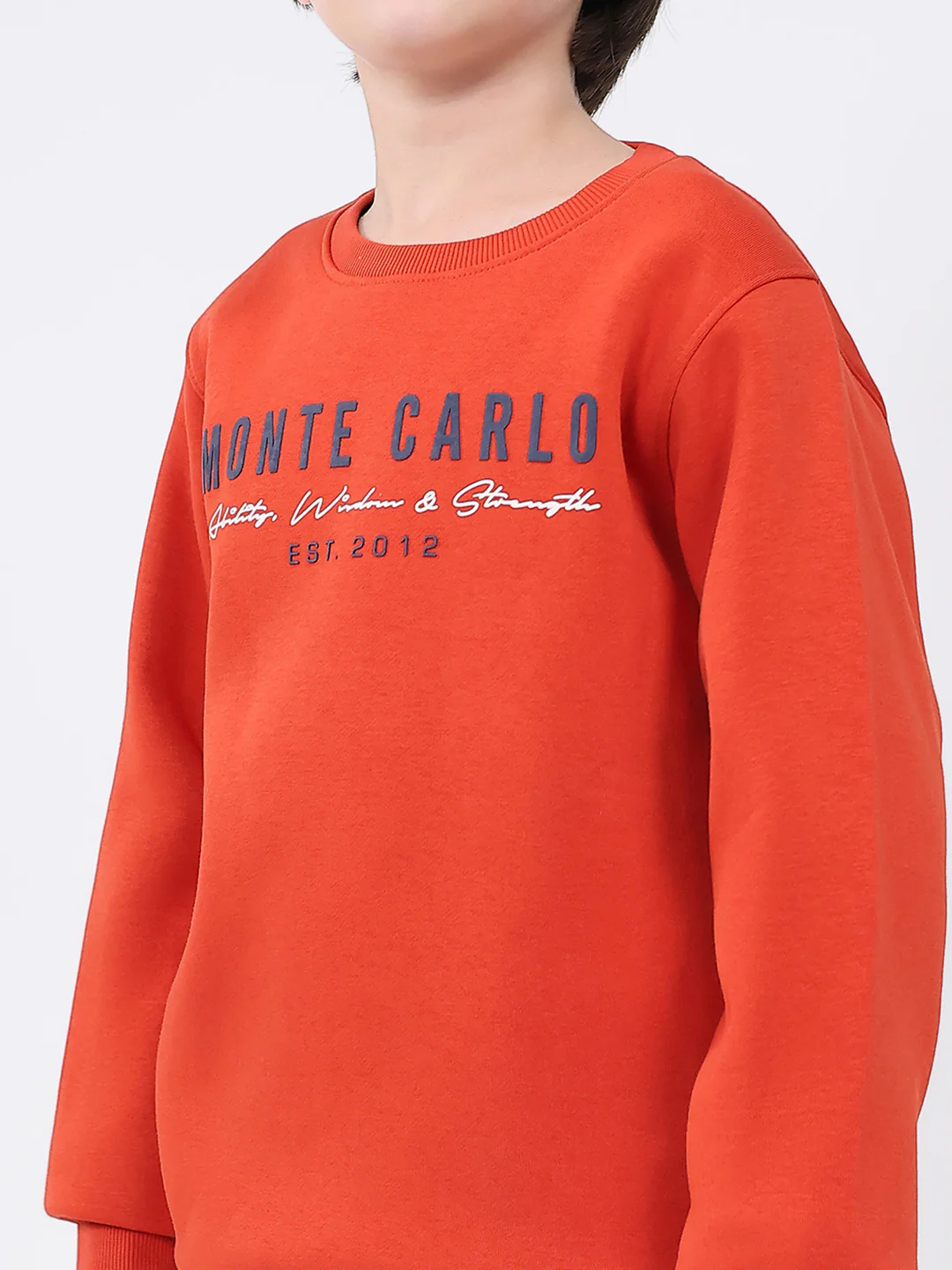 Boys Rust Printed Round Neck Full Sleeve Sweatshirt - Image 6