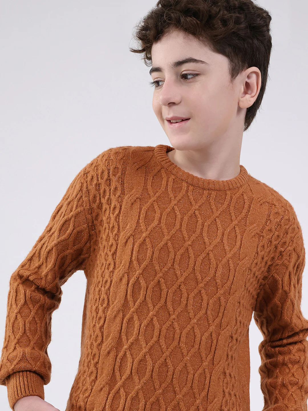 Boys Rust Self Design Round Neck Full Sleeve Pullover - Image 7