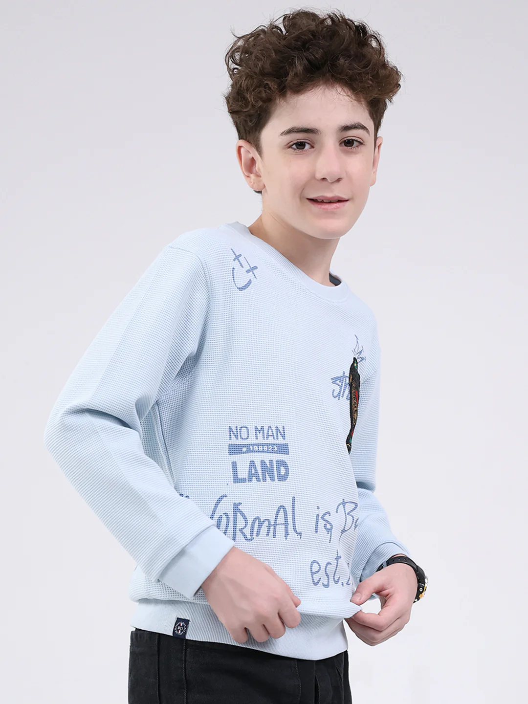 Boys Sky Blue Printed Round Neck Full Sleeve Sweatshirt - Image 4