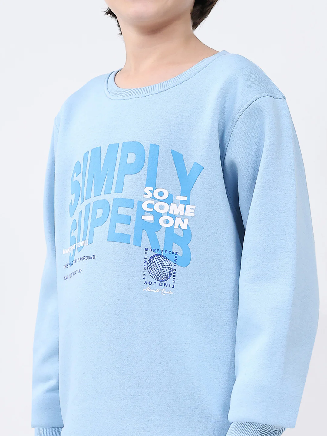 Boys Sky Blue Printed Round Neck Full Sleeve Sweatshirt - Image 6
