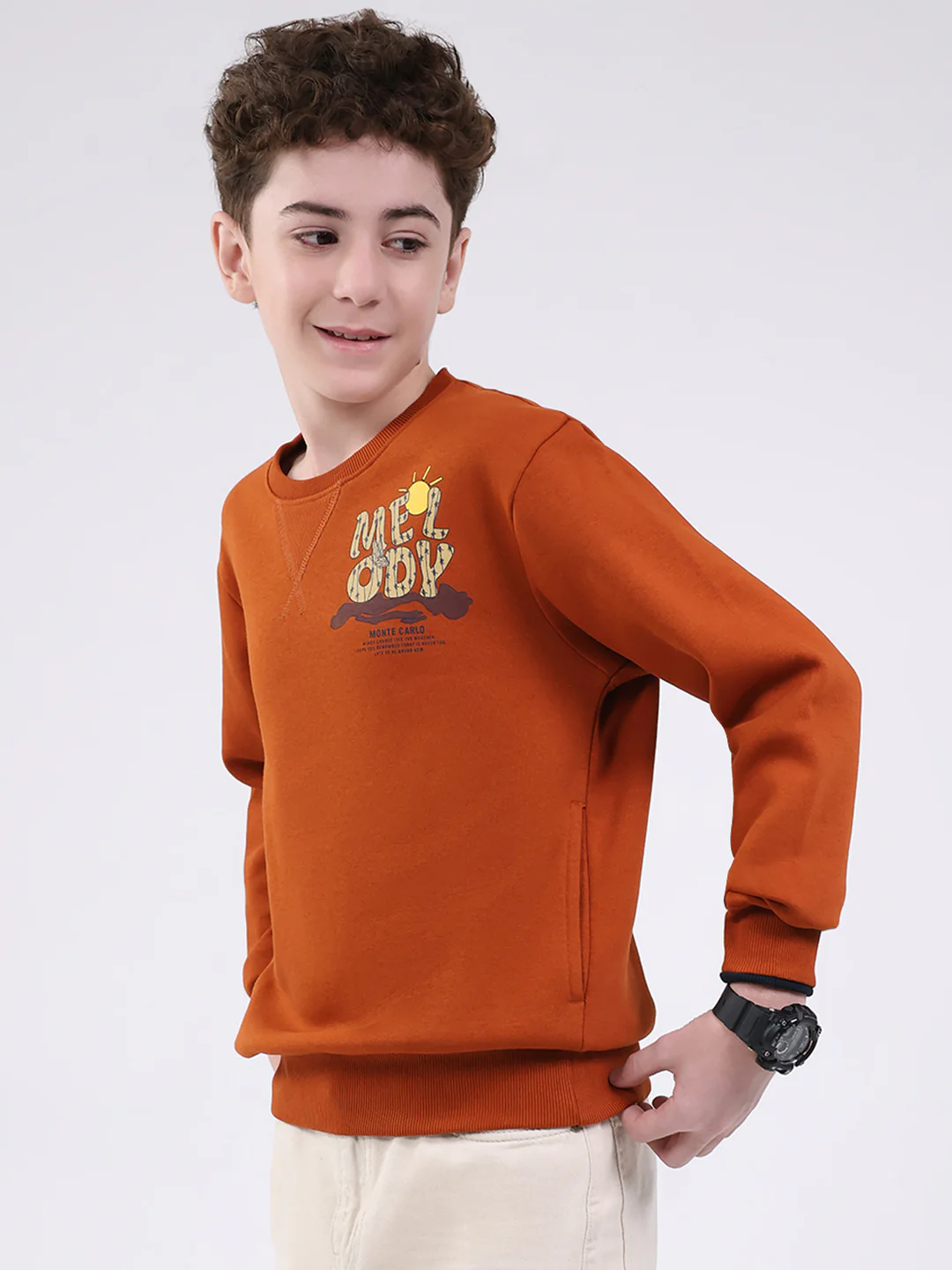 Boys Tan Printed Round Neck Full Sleeve Sweatshirt - Image 3