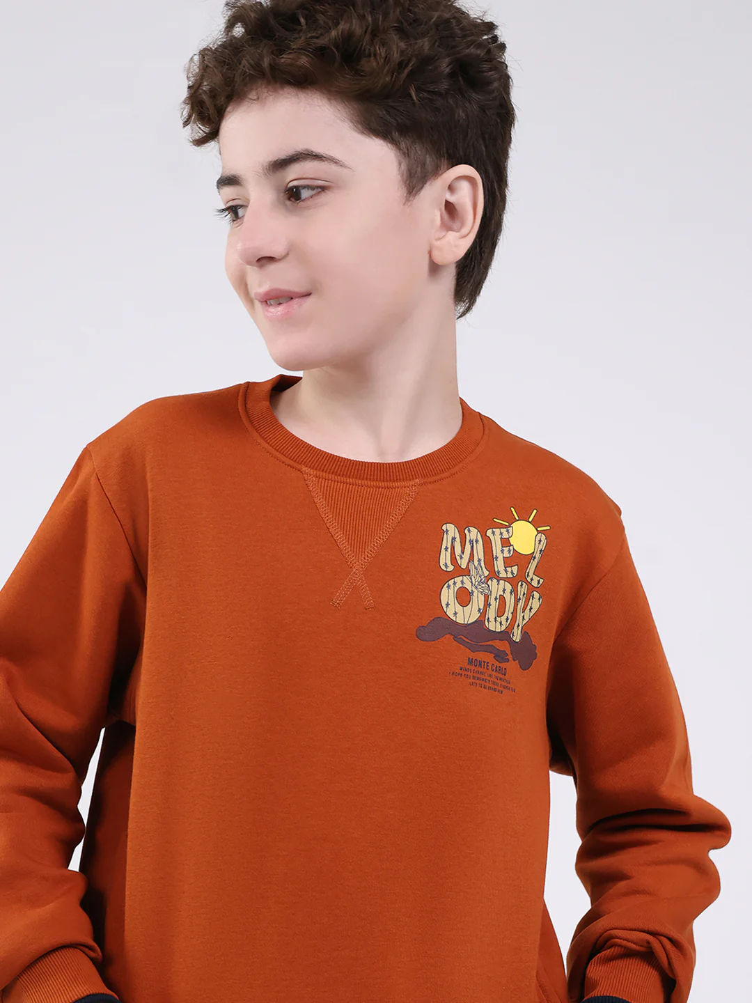Boys Tan Printed Round Neck Full Sleeve Sweatshirt - Image 6