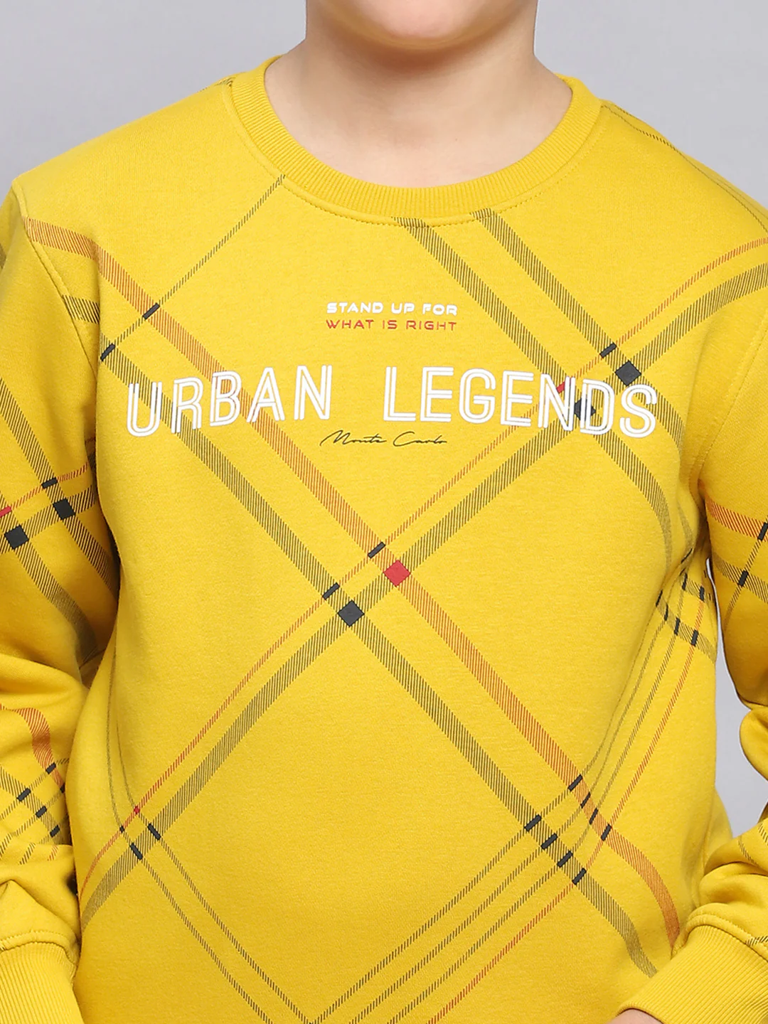 Boys Yellow Printed Round Neck Full Sleeve Sweatshirt - Image 6