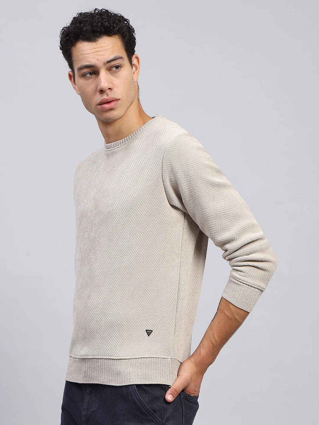 Men Beige Self Design Round Neck Full Sleeve Sweatshirt - Image 3