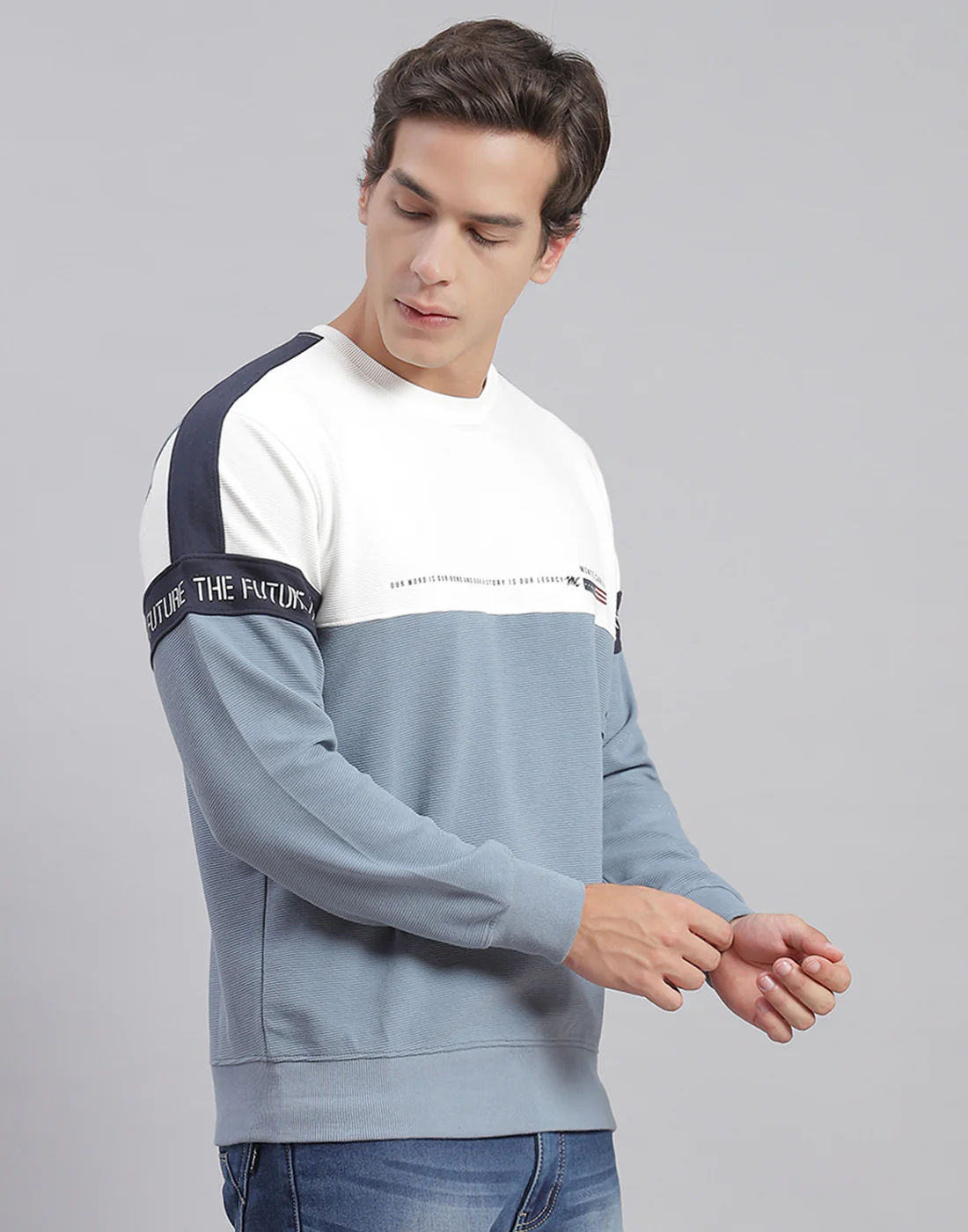 Men Blue Printed Round Neck Full Sleeve Sweatshirts - Image 3