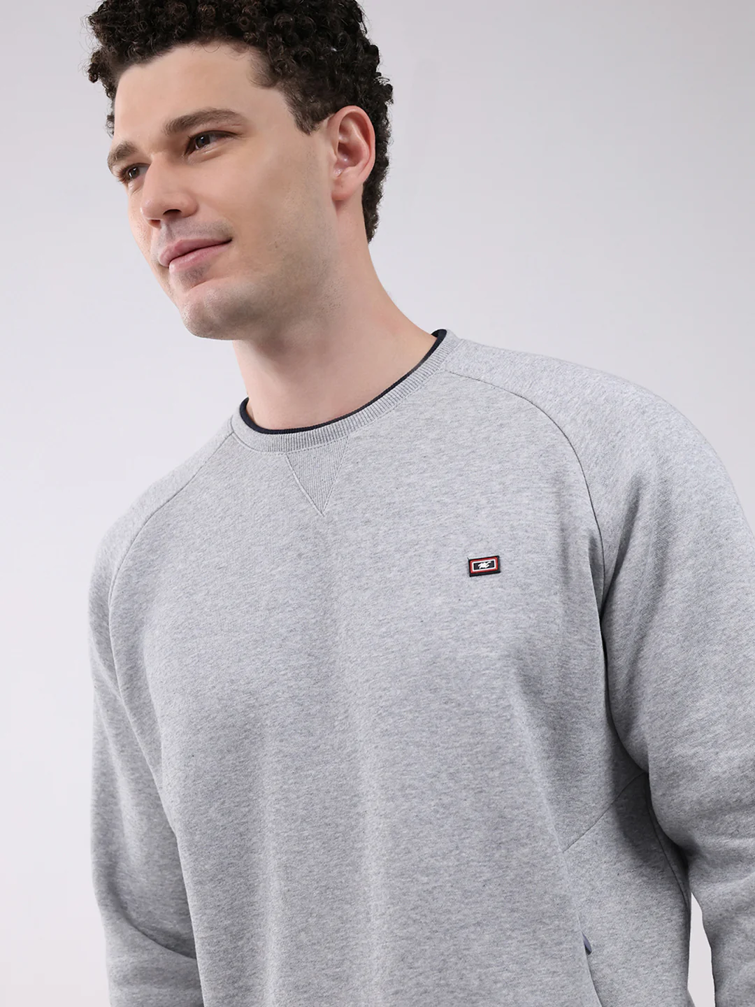 Men Grey Printed Round Neck Full Sleeve Sweatshirt - Image 6