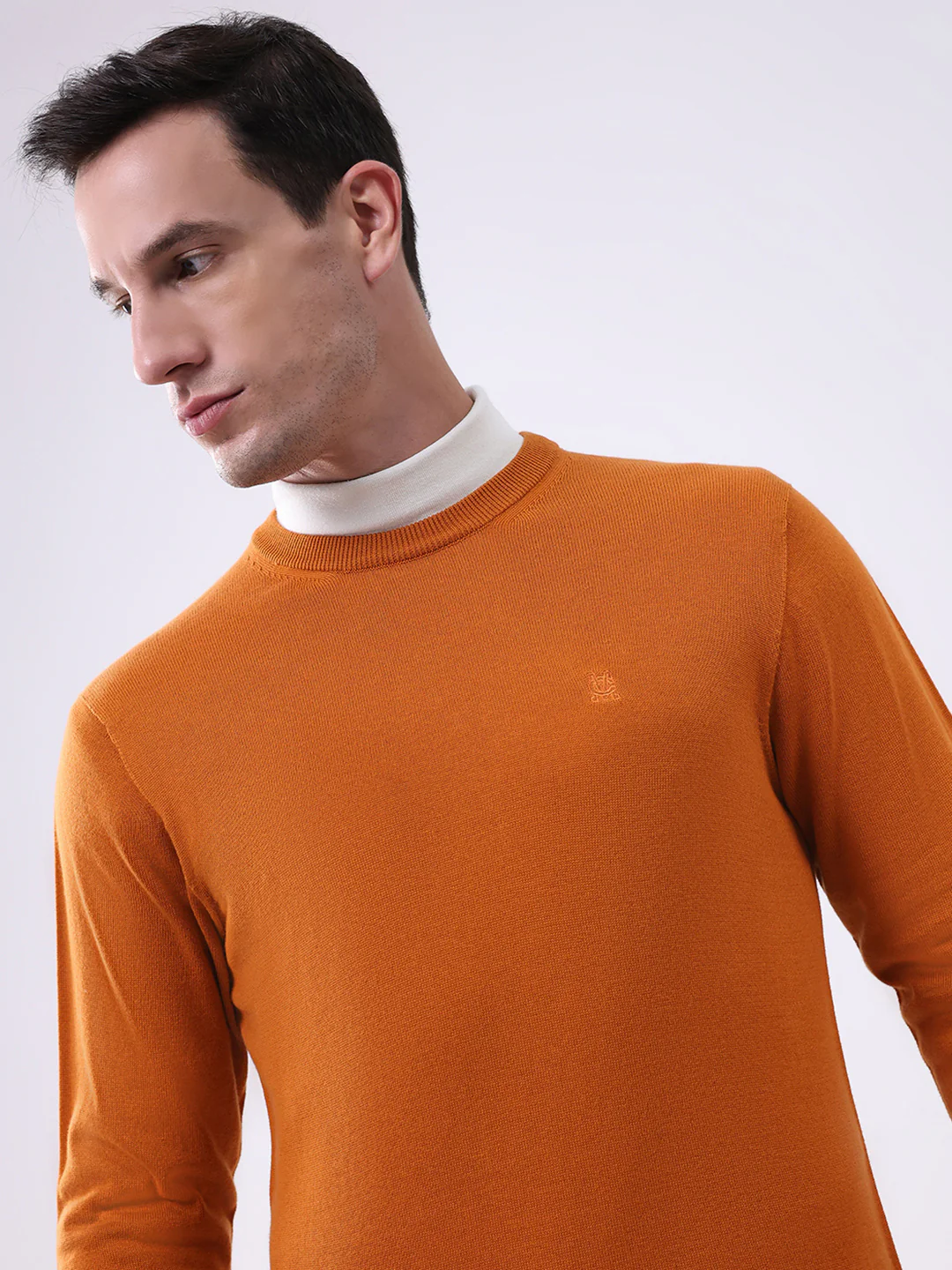 Men Mustard Solid Round Neck Full Sleeve Pullover - Image 6
