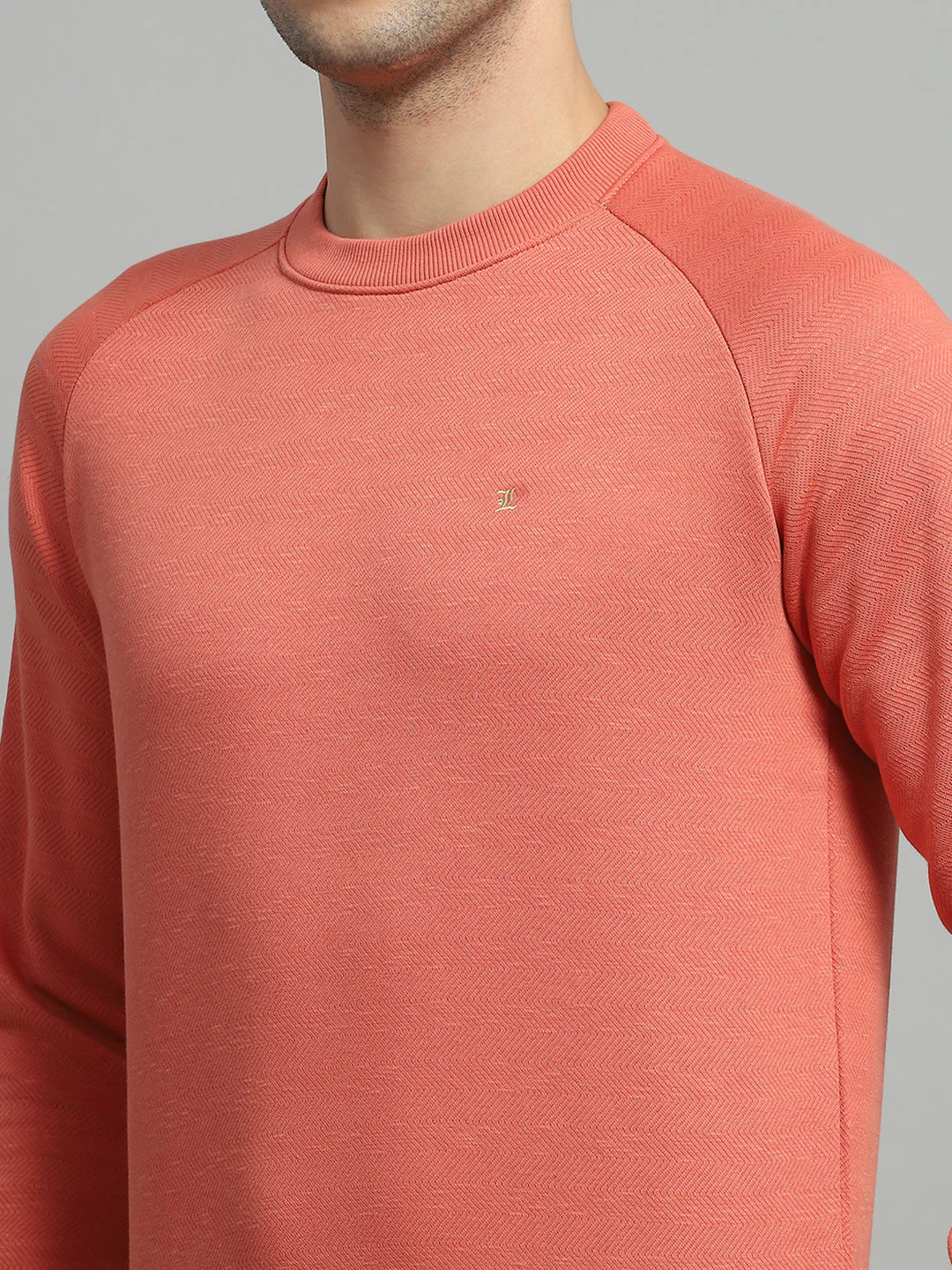 Men Orange Solid Round Neck Full Sleeve Sweatshirt - Image 7