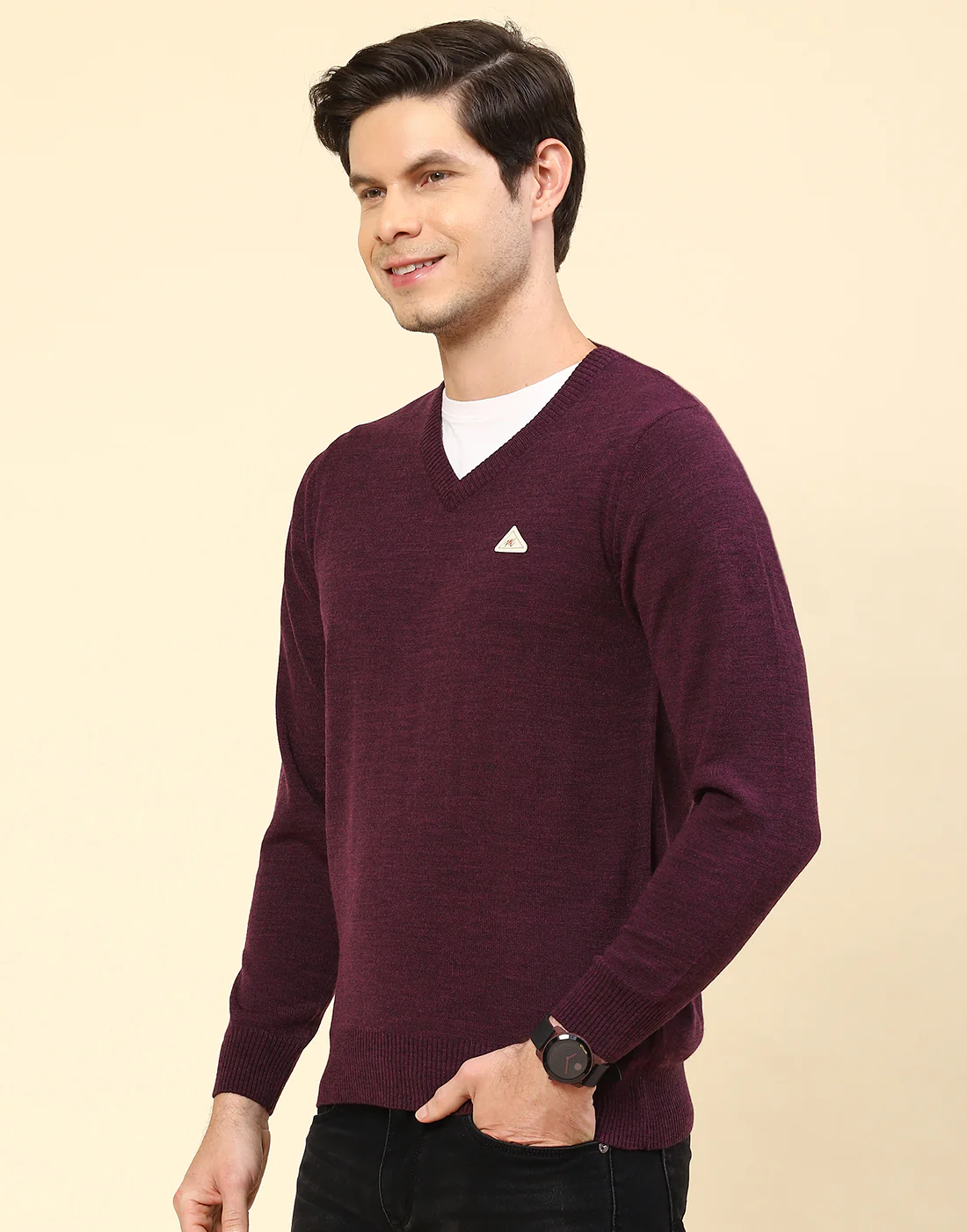 Men Purple Solid V Neck Full Sleeve Pullover - Image 4