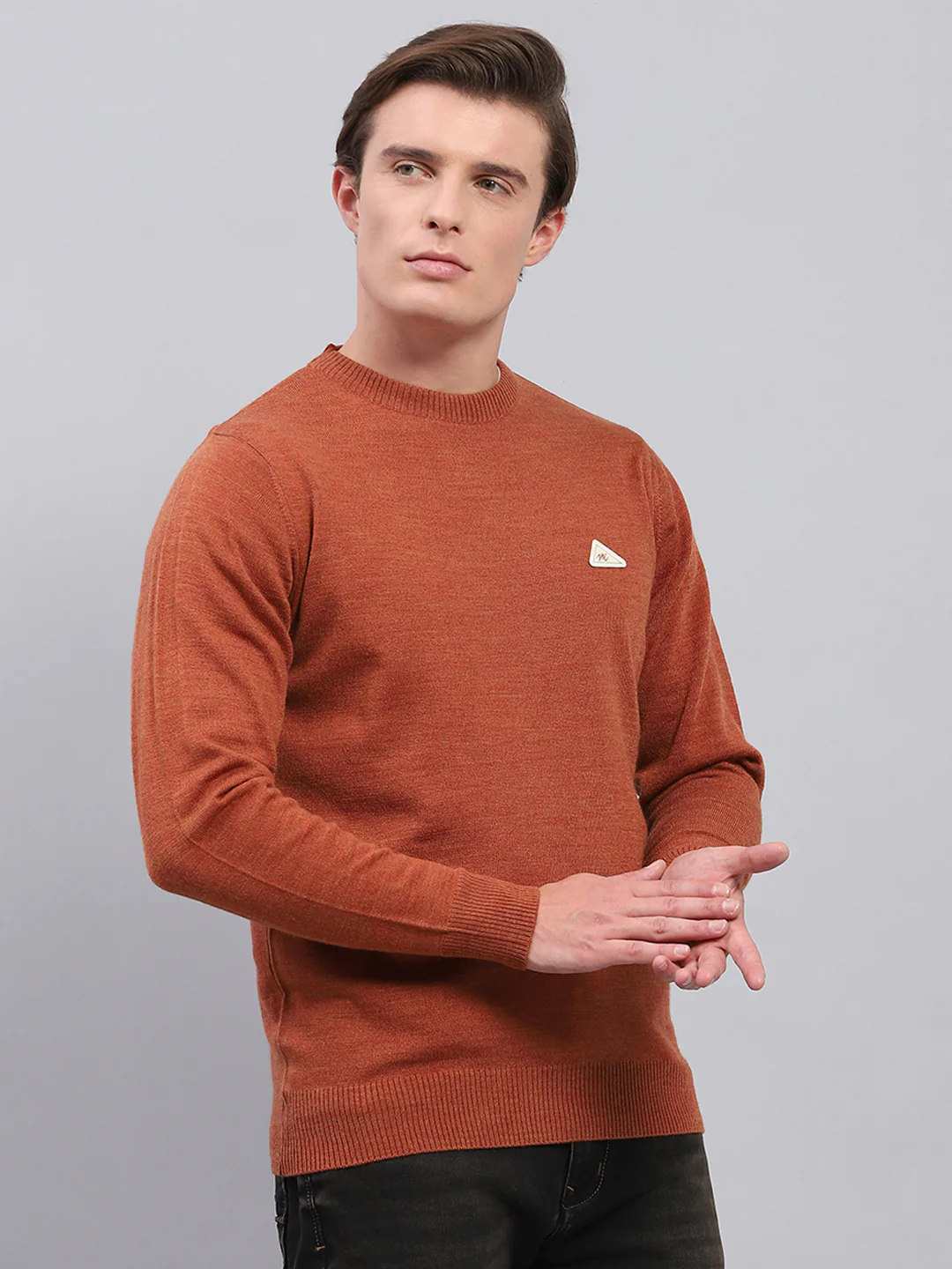 Men Rust Solid Round Neck Full Sleeve Pullover - Image 4