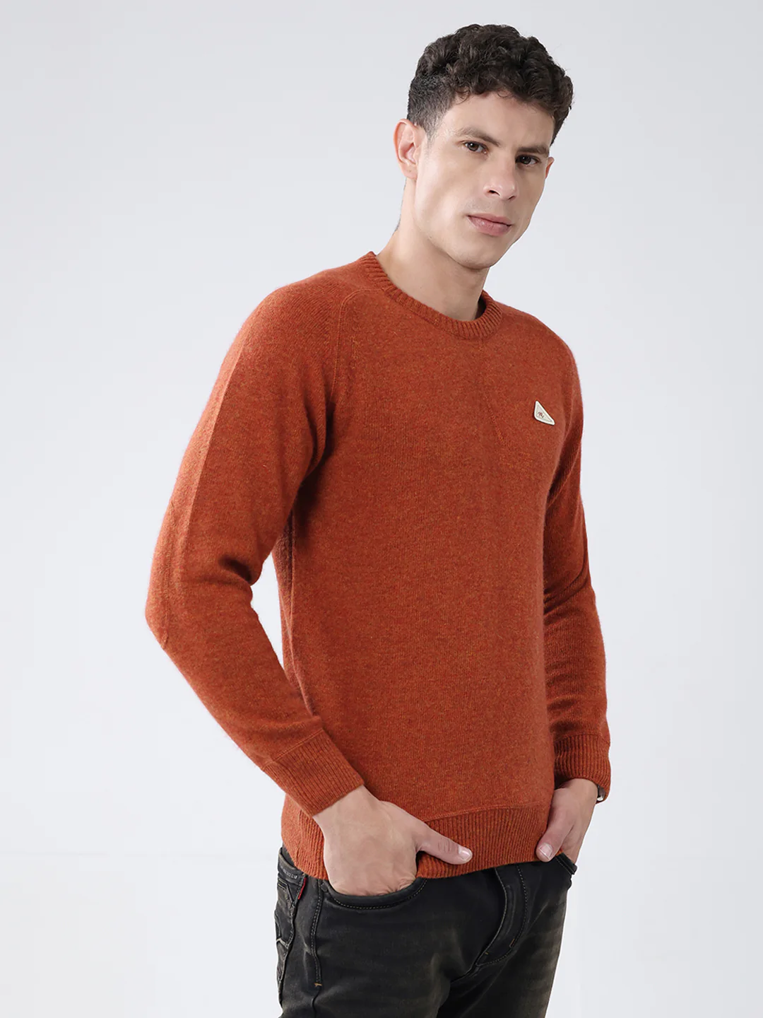 Men Rust Solid Round Neck Full Sleeve Pullover - Image 4