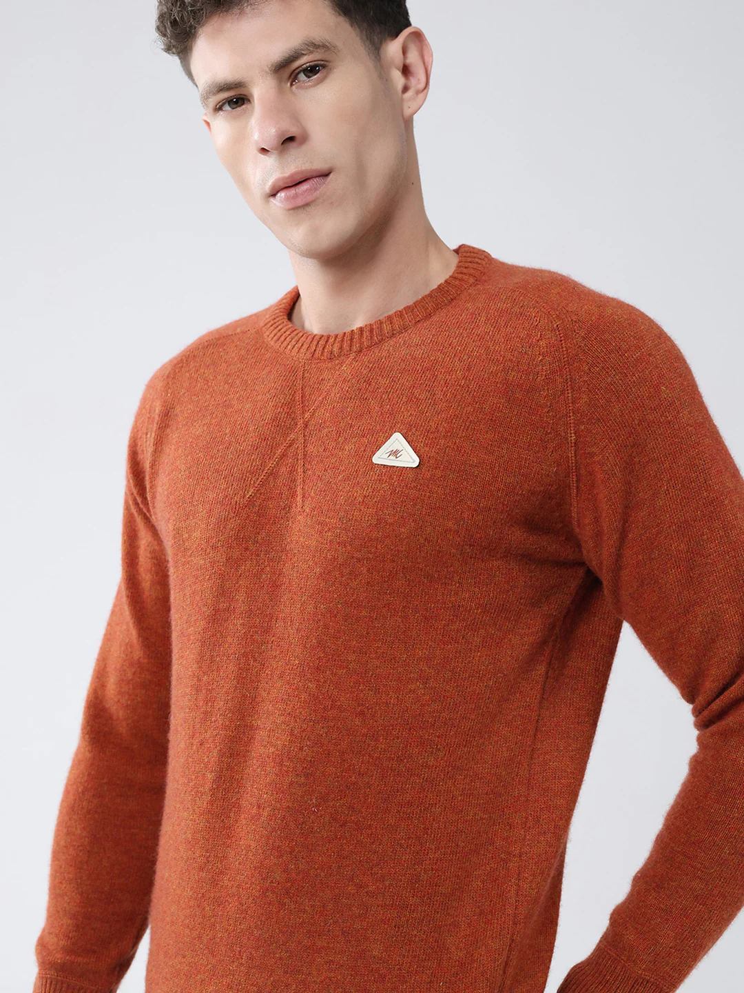 Men Rust Solid Round Neck Full Sleeve Pullover - Image 6