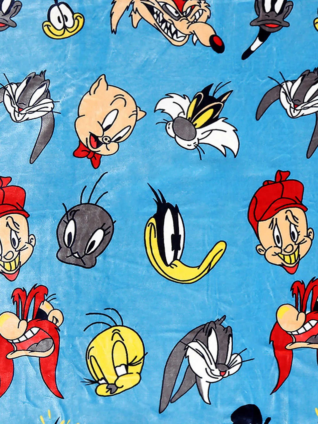 Looney Tunes Printed Plush Soft Cartoon Network Turquoise Blue Baby Blanket - Image 5