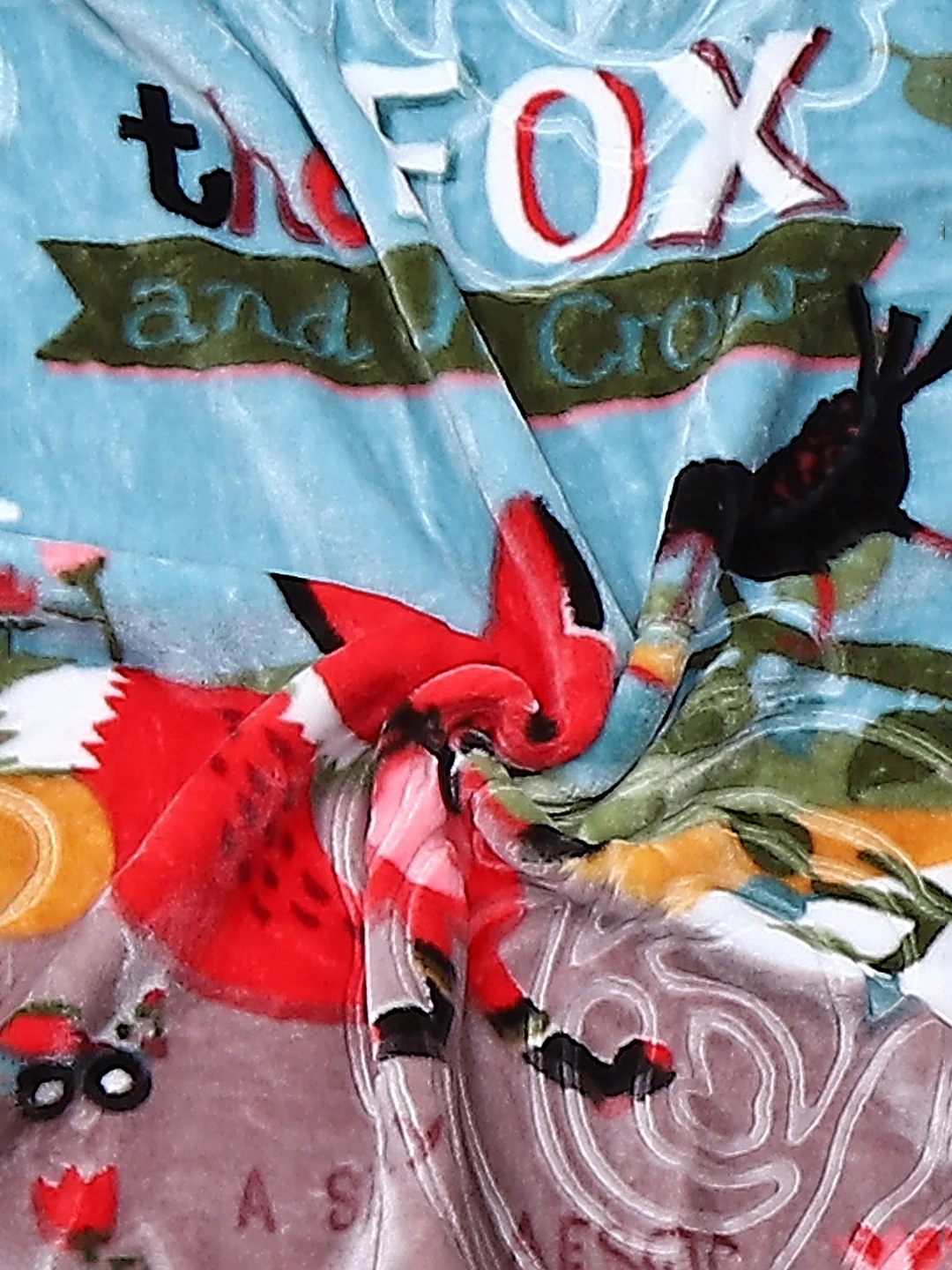 Printed Baby Blanket For Winter 1 Ply, 625 GSM, Weight 0.55 kg (Toddler) - Image 4