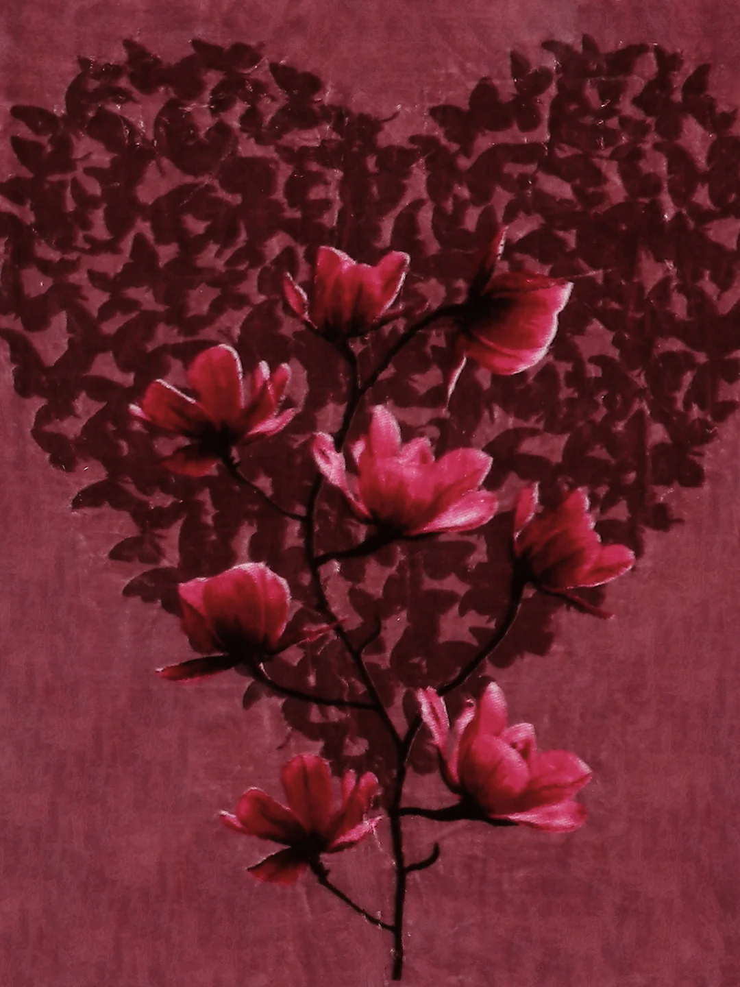 Printed Single Bed Blanket for Mild Winter -2 Ply - Image 6