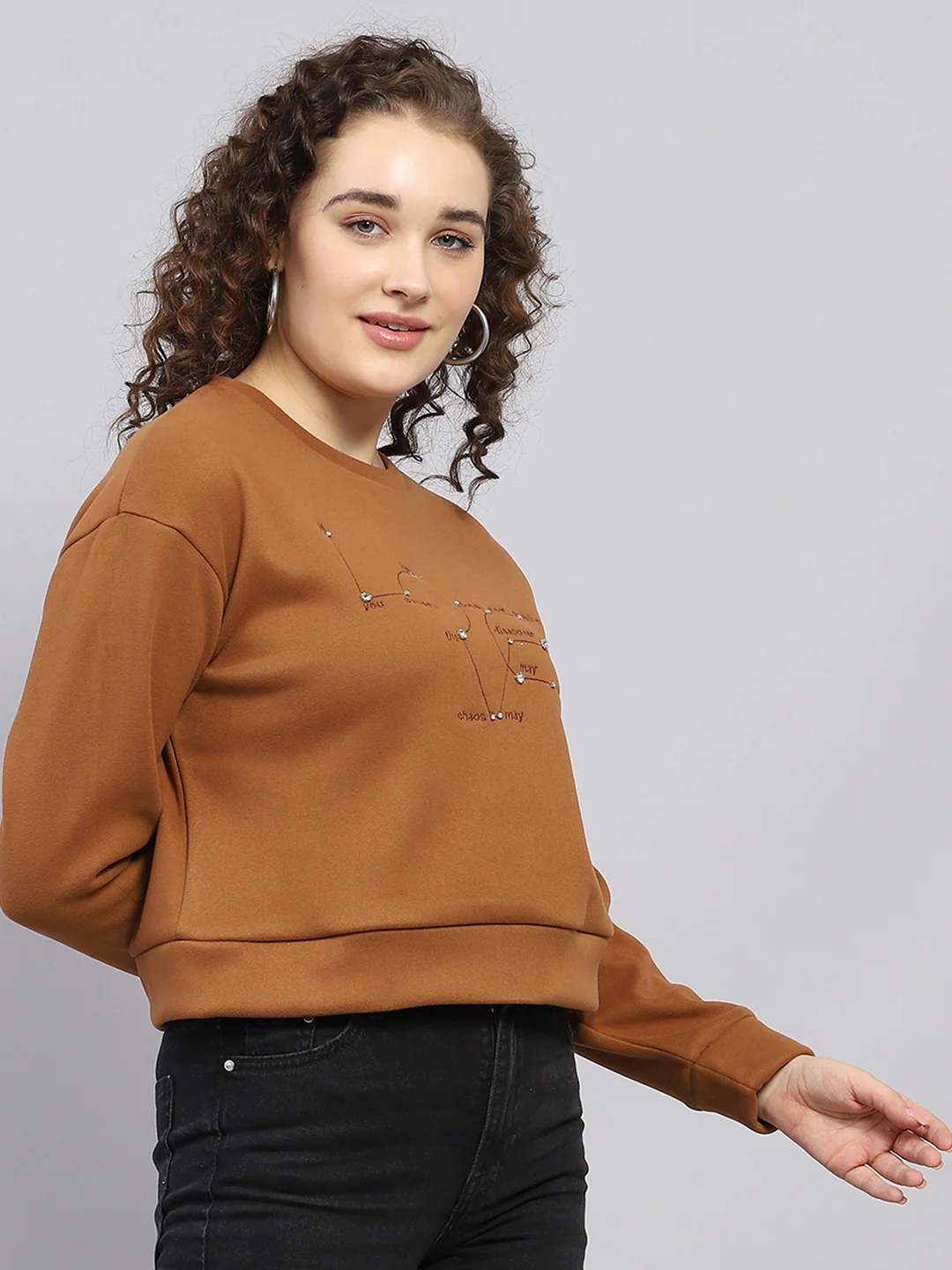 Women Brown Embroidered Round Neck Full Sleeve Sweatshirt - Image 4